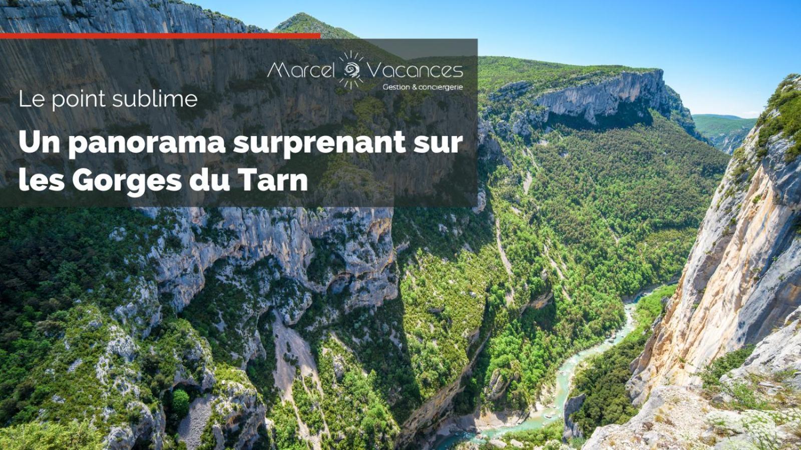 Gorges Du Tarn Gite En Pierres Avec Terrasse Quezac  Eksteriør bilde