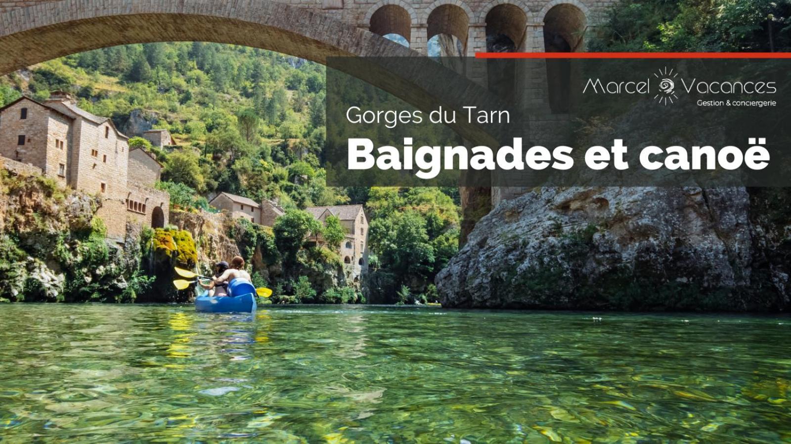 Gorges Du Tarn Gite En Pierres Avec Terrasse Quezac  Eksteriør bilde